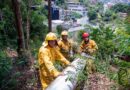 Defesa Civil de Santana de Parnaíba realiza podas preventivas para garantia da segurança nos bairros da cidade