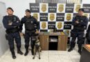 Megaoperação policial em Santana de Parnaíba desmantela laboratório de drogas sintéticas no município 