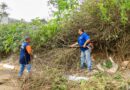 Bairro Cristal Park 4 recebe Operação Bairro Limpo com serviços de zeladoria e manutenção