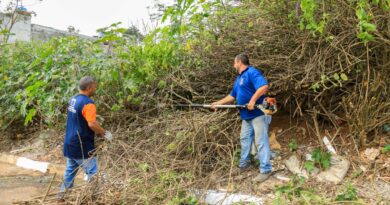 Bairro Cristal Park 4 recebe Operação Bairro Limpo com serviços de zeladoria e manutenção