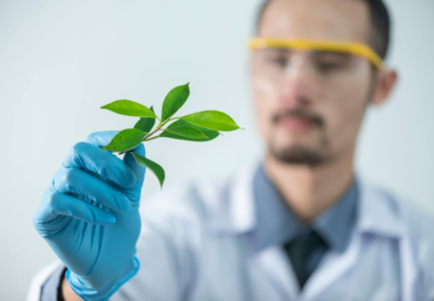 Governo de SP autoriza concurso para 98 vagas no Instituto de Pesquisas Ambientais para fortalecer quadro de pesquisadores