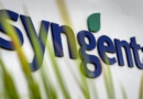 Syngenta abre oportunidades de Jovem Aprendiz com inscrições até 20 de novembro