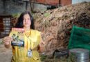 Santana de Parnaíba intensifica a guerra contra o mosquito da dengue
